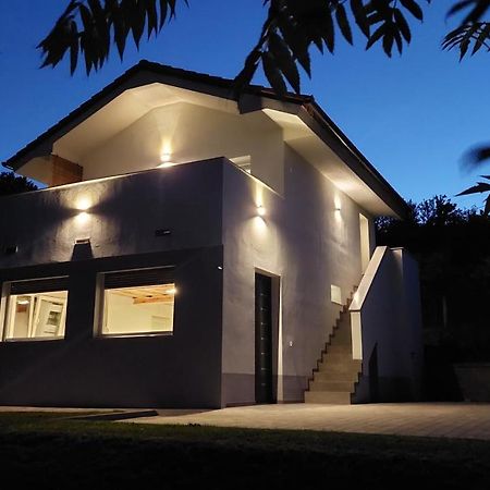 Grajsko Villa Metlika Exterior foto