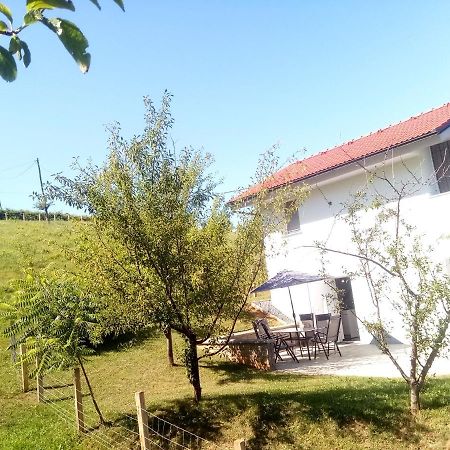 Grajsko Villa Metlika Exterior foto