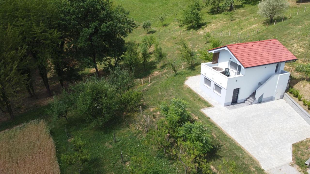 Grajsko Villa Metlika Exterior foto