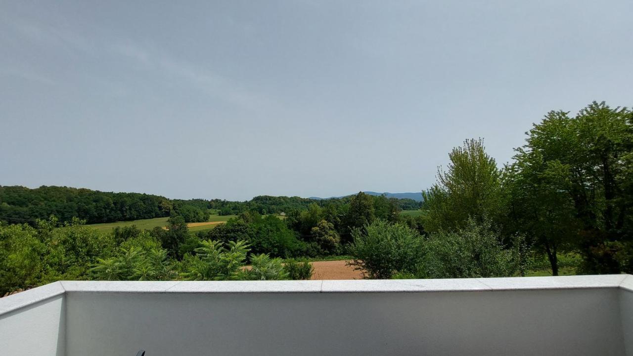 Grajsko Villa Metlika Exterior foto