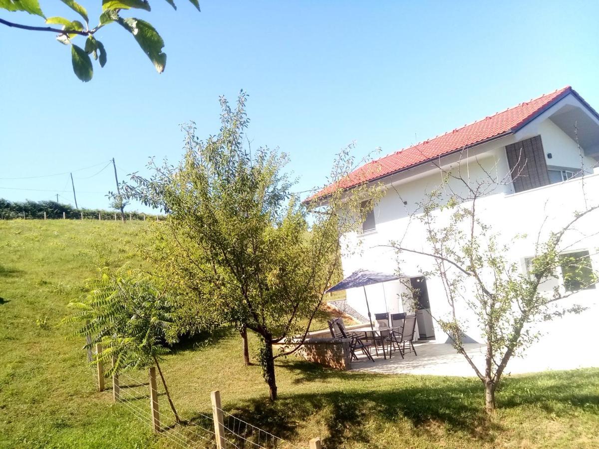Grajsko Villa Metlika Exterior foto