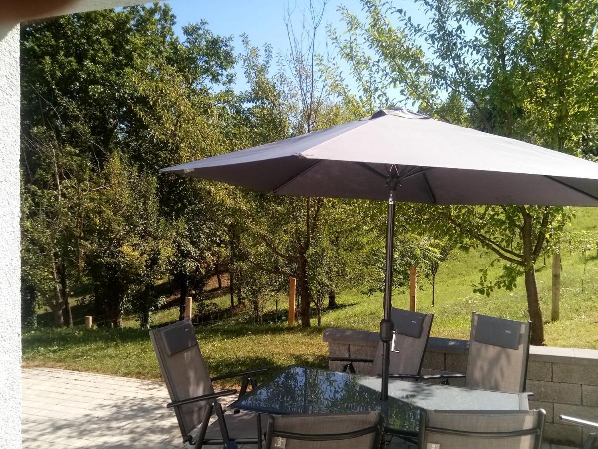 Grajsko Villa Metlika Exterior foto